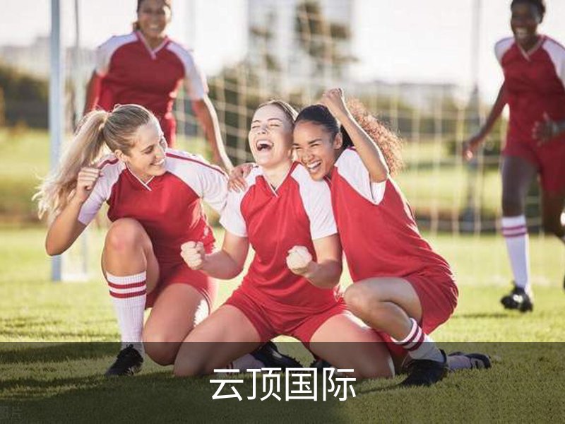关于云顶国际